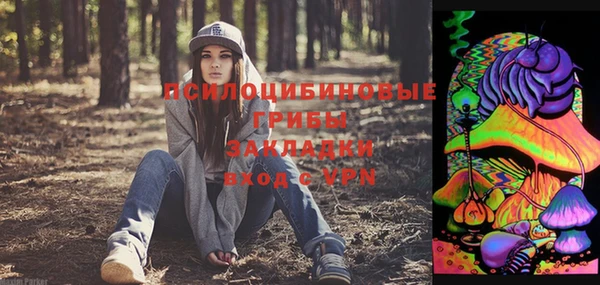 хмурый Наволоки
